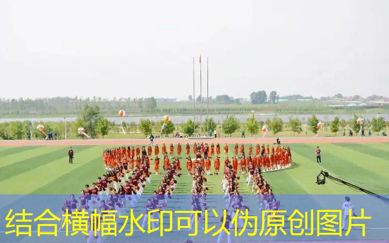 <strong>ayx爱游戏：儿童木质游乐设施如何促进儿童视觉与空间认知能力的发展？</strong>