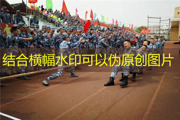 乒乓球台面轻型 乒乓球台面轻型