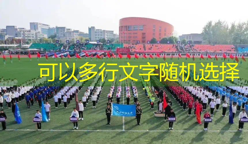 田径负重牵引训练器材 田径负重牵引训练器材