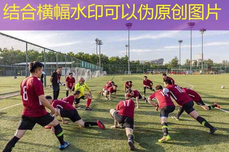 ayx爱游戏公司：乒乓球台数量单位